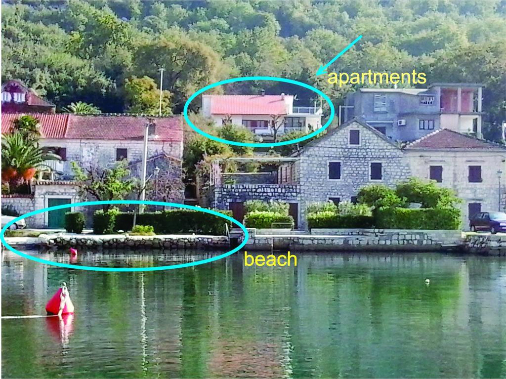 Apartment Cizek Kotor Cameră foto